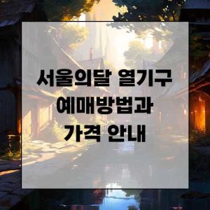 서울의달 열기구 예매방법과 가격 안내