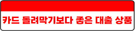 카드 돌려막기 안전하게 하는 방법 절대 실패하지 않는 방법