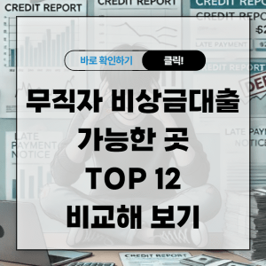 무직자 비상금대출 가능한 곳 TOP 12 비교해 보기